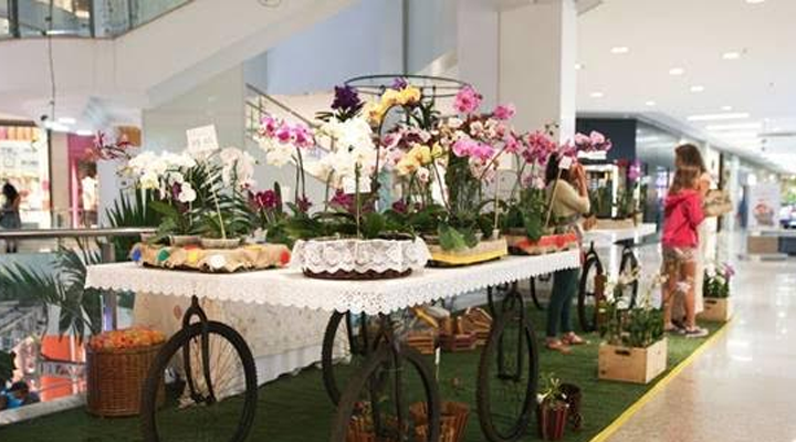 Orquidário de Santos promove oficina e exposição de roupas de boneca no  sábado